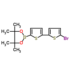 5'-溴-2,2'-聯(lián)噻吩-5-硼酸頻哪醇酯