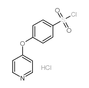 4-(4-吡啶氧基)苯磺酰氯鹽酸鹽	